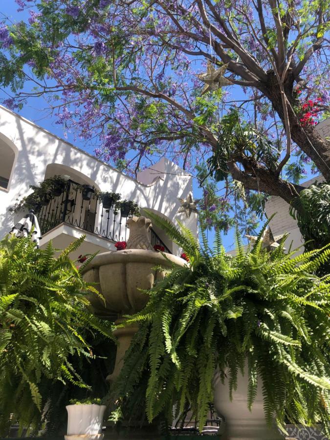 Casa Lani Luxury B&B San Miguel de Allende Dış mekan fotoğraf