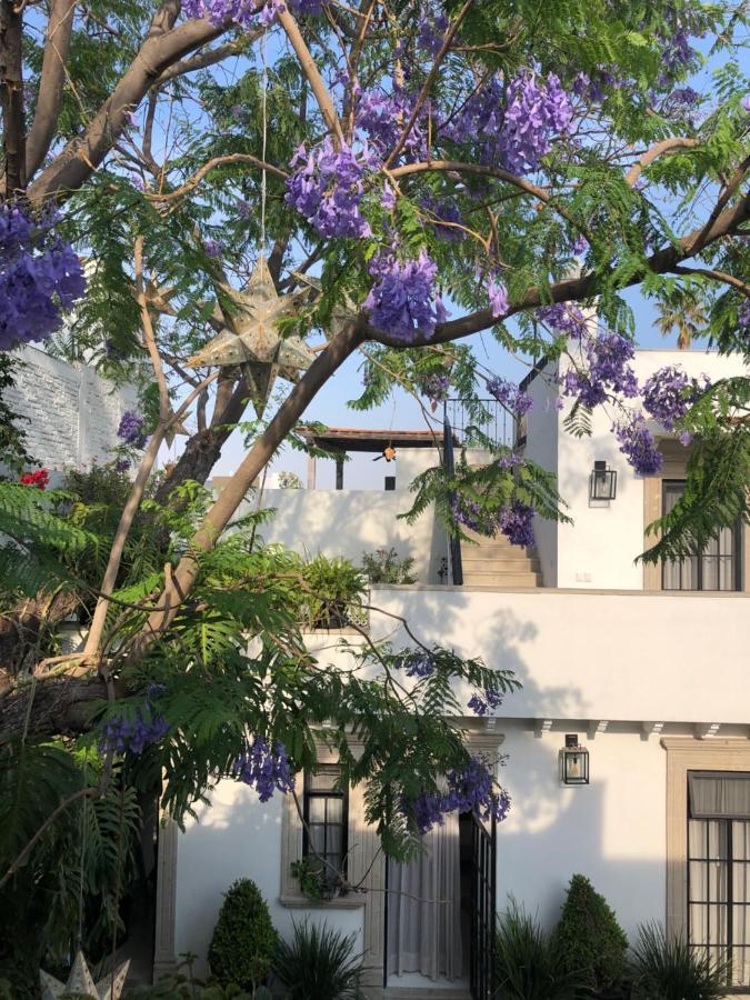 Casa Lani Luxury B&B San Miguel de Allende Dış mekan fotoğraf