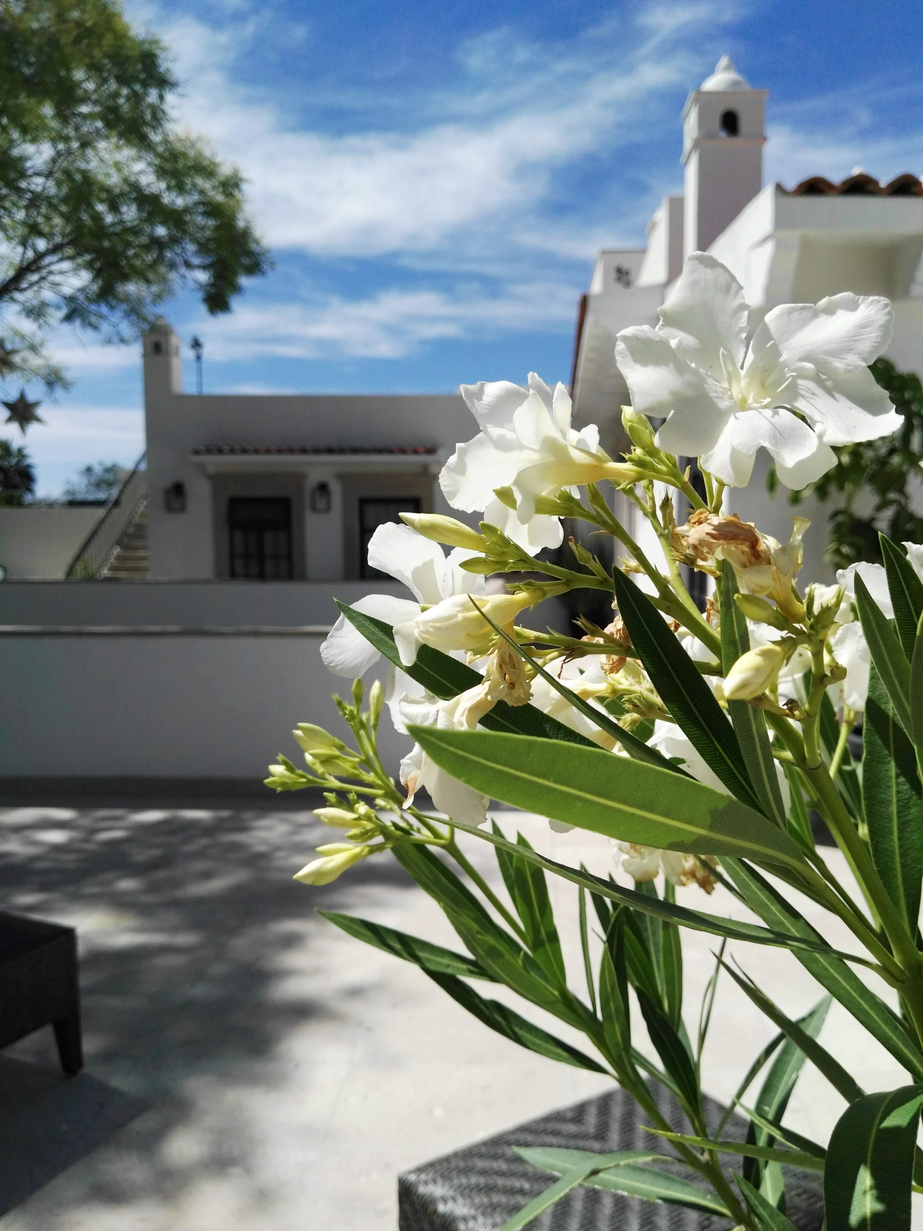 Casa Lani Luxury B&B San Miguel de Allende Dış mekan fotoğraf