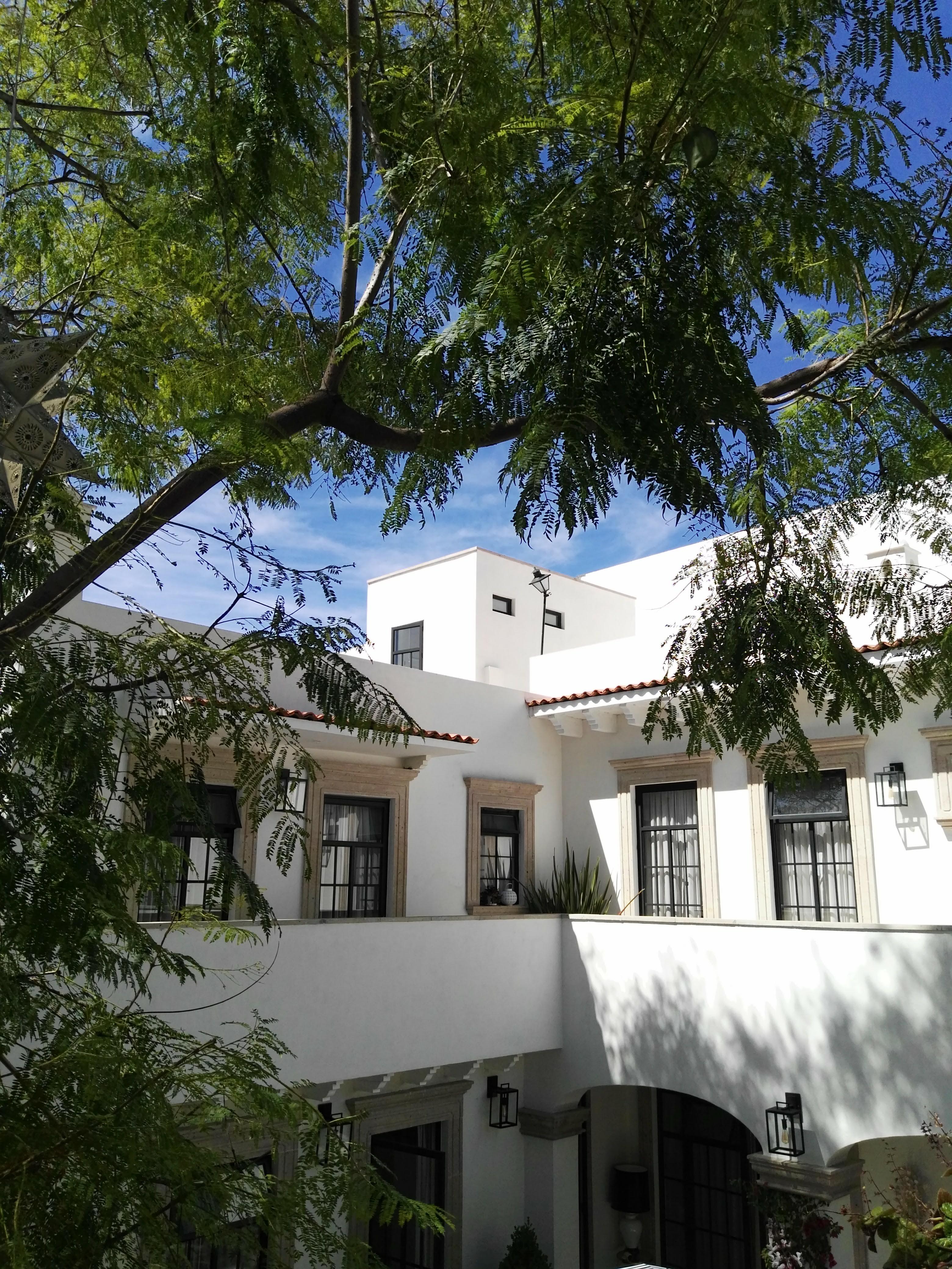 Casa Lani Luxury B&B San Miguel de Allende Dış mekan fotoğraf