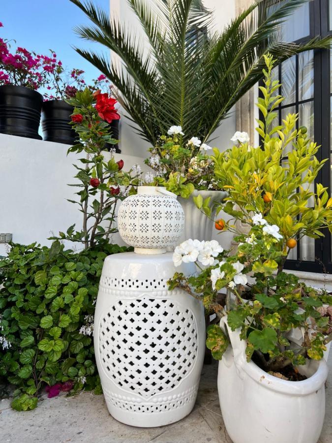 Casa Lani Luxury B&B San Miguel de Allende Dış mekan fotoğraf