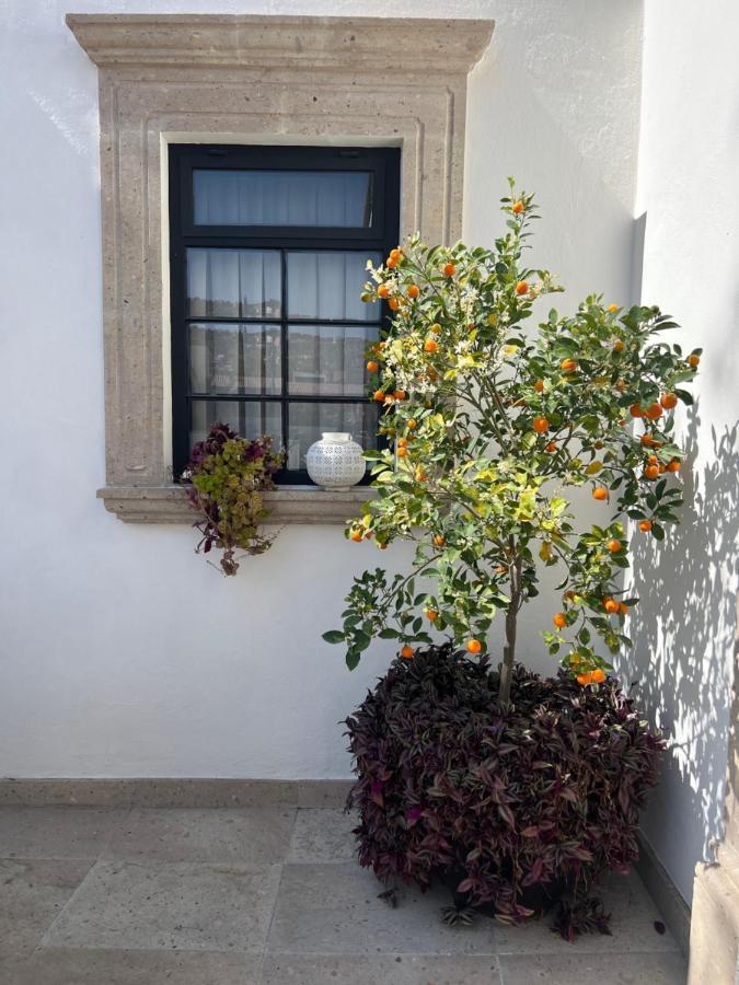 Casa Lani Luxury B&B San Miguel de Allende Dış mekan fotoğraf